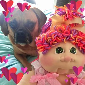 Meet your Posher, Olive